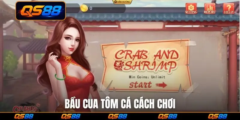 Bầu cua tôm cá cách chơi