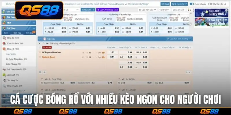 Cá cược bóng rổ với nhiều kèo ngon cho người chơi