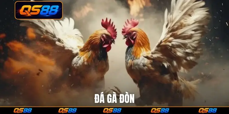 đá gà đòn