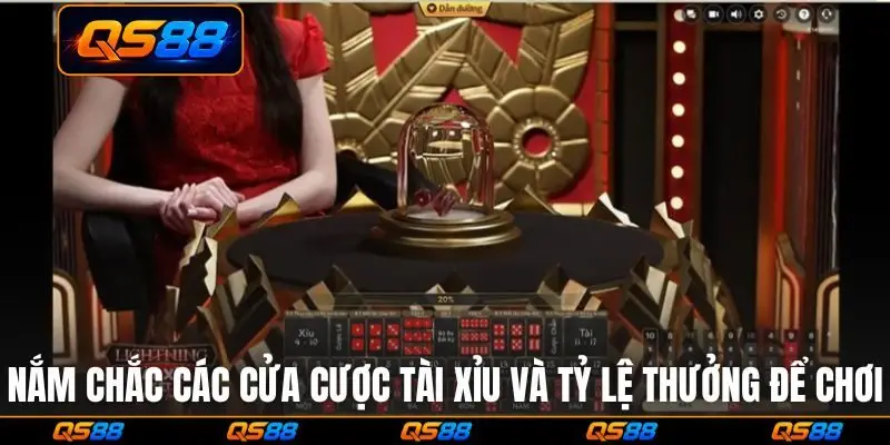 Nắm chắc các cửa cược tài xỉu và tỷ lệ thưởng để chơi