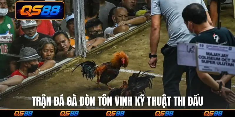 Trận đá gà đòn tôn vinh kỹ thuật thi đấu
