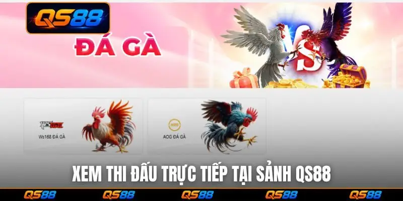 Xem thi đấu trực tiếp tại sảnh QS88