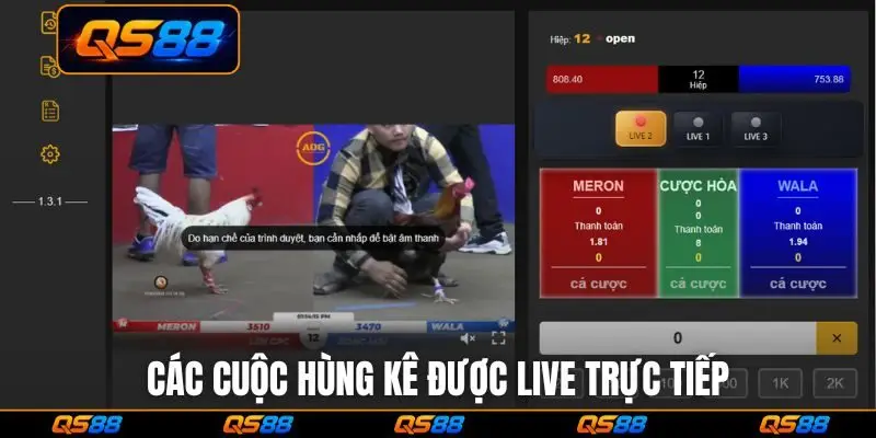 Các cuộc hùng kê được live trực tiếp