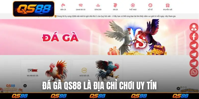 Đá gà QS88 là địa chỉ chơi uy tín