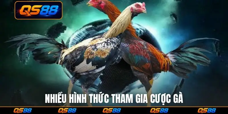 Nhiều hình thức tham gia cược gà