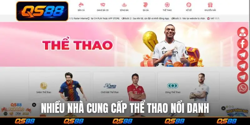 Nhiều nhà cung cấp thể thao nổi danh